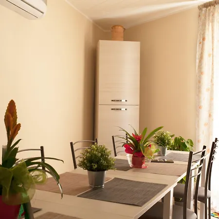 La Regina Di Saba Piazza Armerina